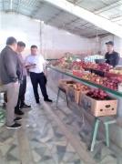 photo2023-04-1215-11-17