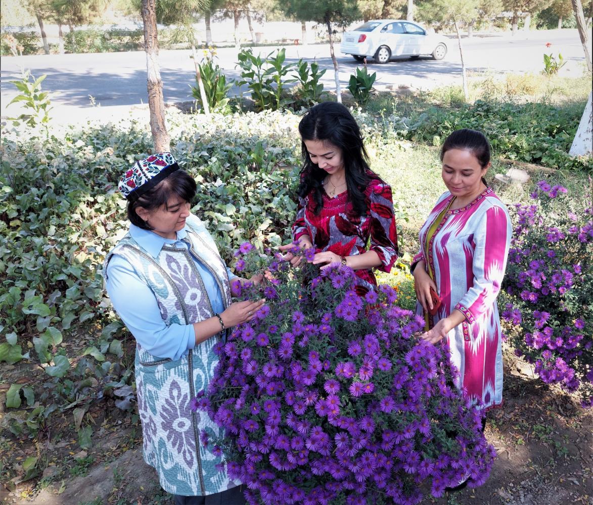 3834076202790248317502736734930012465961566n